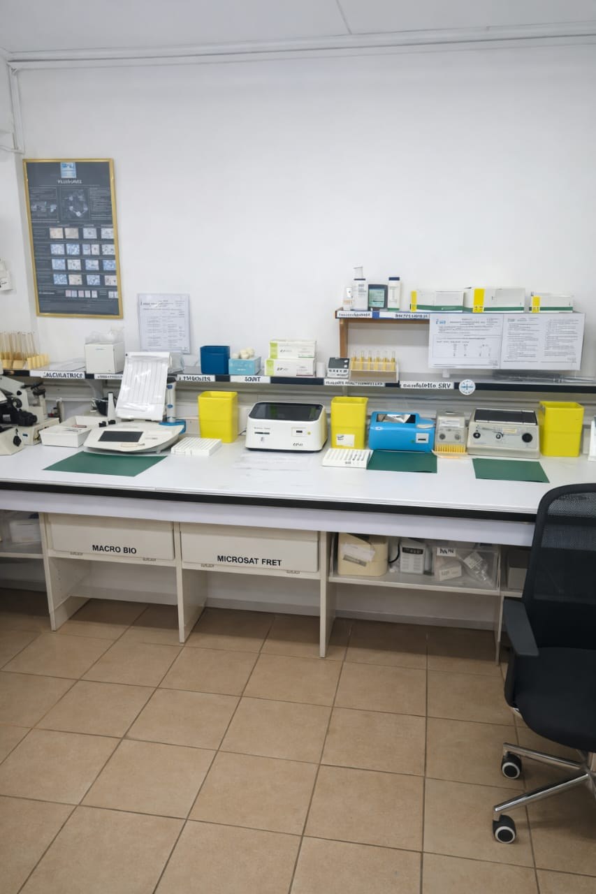 Paillasse de microbiologie